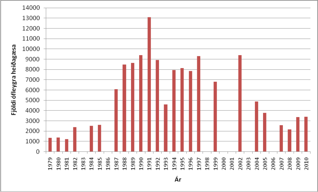6. mynd. Fjöldi heiðagæsa í sárum á Eyjabakkasvæði 1979 til 2010 (talning mistókst 1993).
